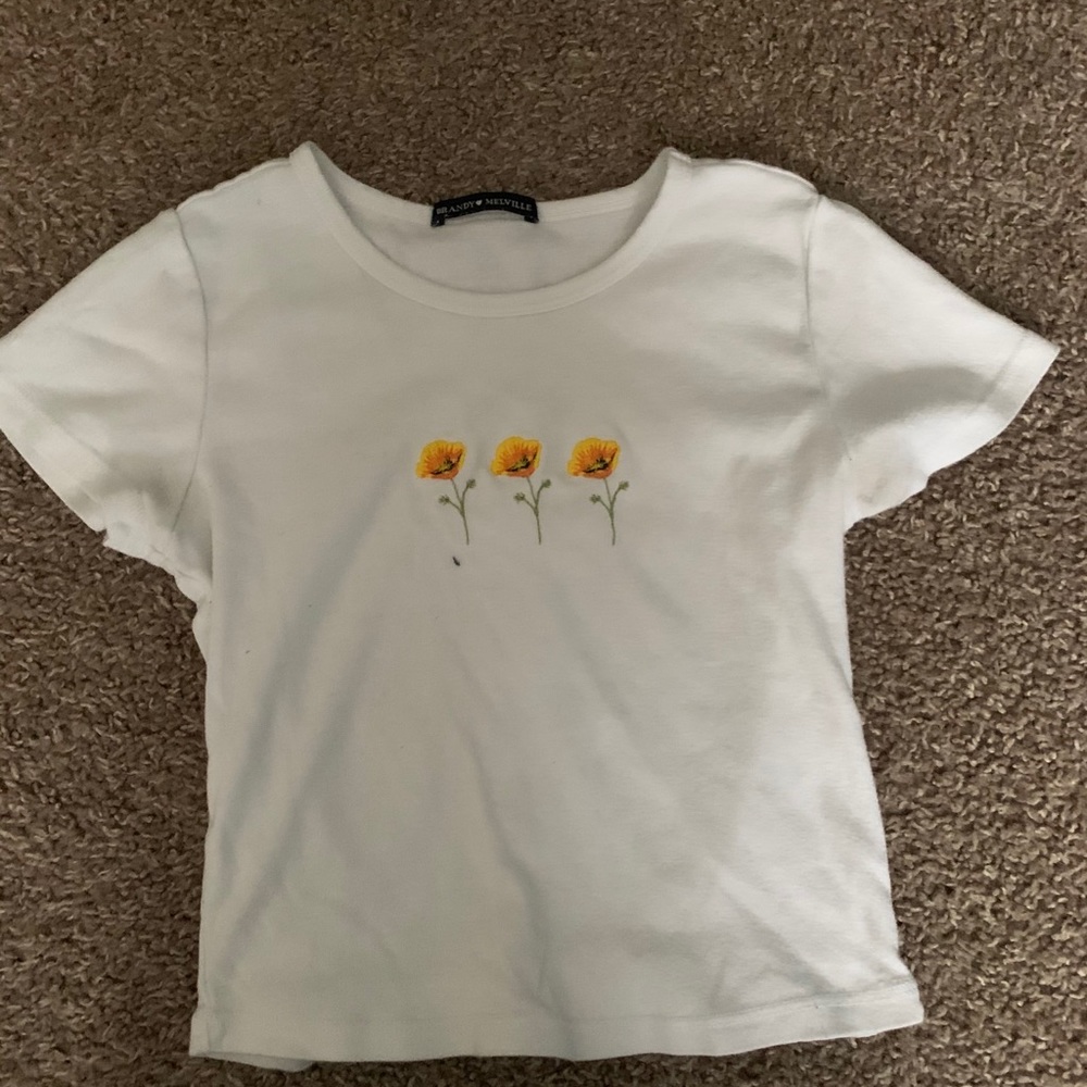 Brandy Melville cropped tee